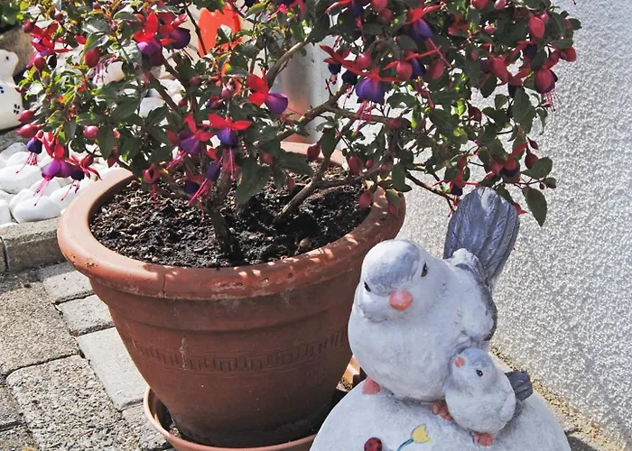 Romantik 1854 Tatil Evi *